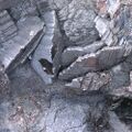 Thumbnail for version as of 16:38, 18 July 2026