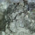 Thumbnail for version as of 07:56, 1 July 2026