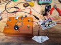 Thumbnail for version as of 09:34, 1 July 2026
